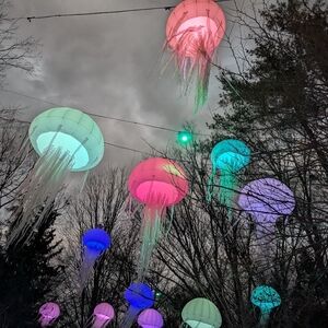 Meet your Posher, Nammen